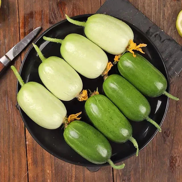 Golden Lady Cucumber